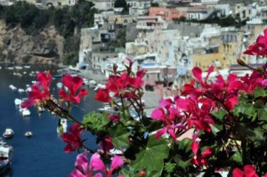 Procida Foto: Martin van Haaren